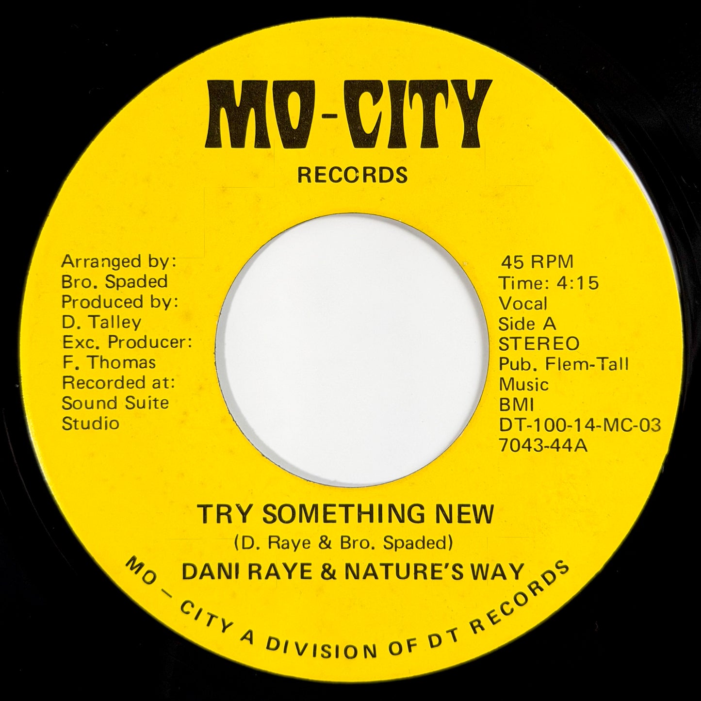 Dani Raye & Nature's Way - Try Something New / Clouds On A Sunny Day [1977 US Original Press - Mo-City 101] (7inch)_1