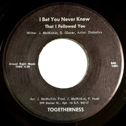 Diobolics - I Bet You Never Knew That I Followed You / Nigger's Will Be Nigger's Everyday [1974 US Original Press - Togetherness 1001] (7inch)_1